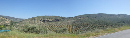 On the road to Montefr&iacute;o.